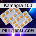 Kamagra 100 cialis4